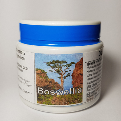 Boswellia Resin Capsules